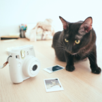 ペットの思い出を形に残す｜メモリアルグッズ